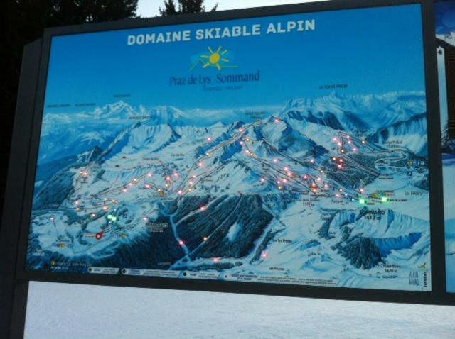 Terrasses Du Mont Blanc Apartment Le Praz de Lys Ngoại thất bức ảnh